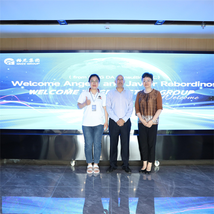 Welcome Spanish customers to visit GNEE Group