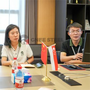 Warmly Welcome Customers from Singapore to Visit GNEE Group Today