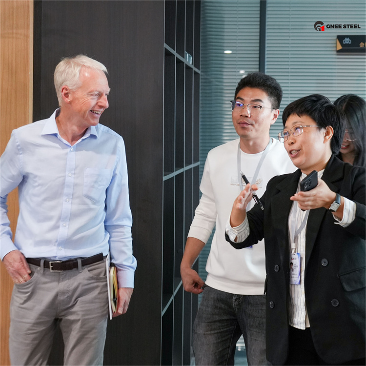 Warmly Welcome Norwegian Customers to Visit GNEE Group