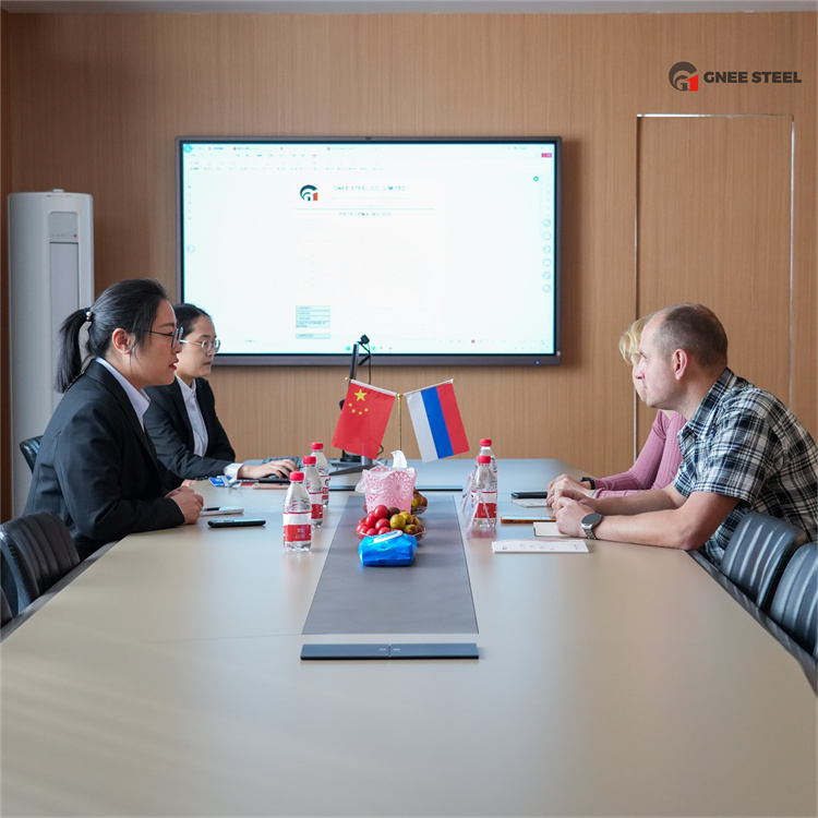Warmly Welcome Russian Customers to Visit GNEE Group